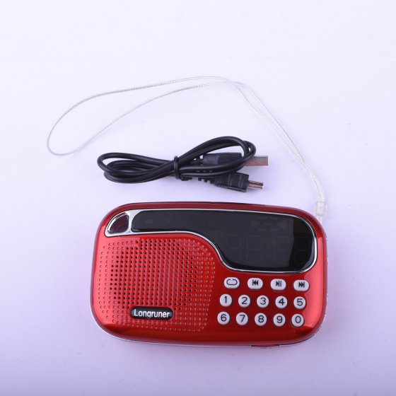 Longruner L15 Rechargeable Voice Amplifier with MP3 Playing,